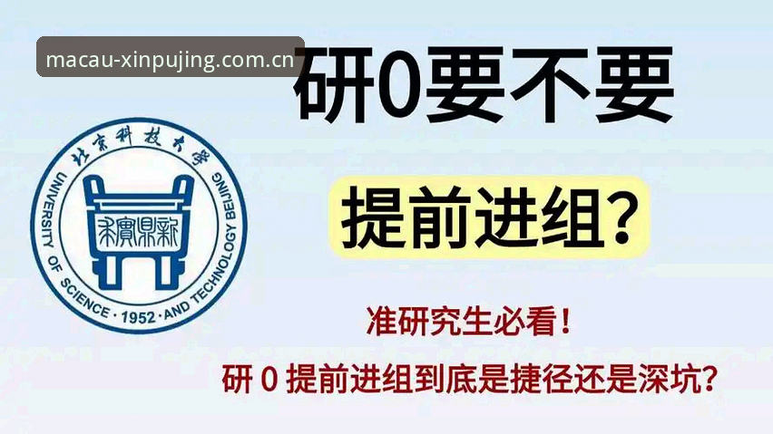 新京味导航实操指南：别被表面数据带偏，看这几条硬指标就够用了